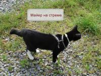 Пяточный массаж. Майер на стреме