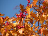 PICT0024