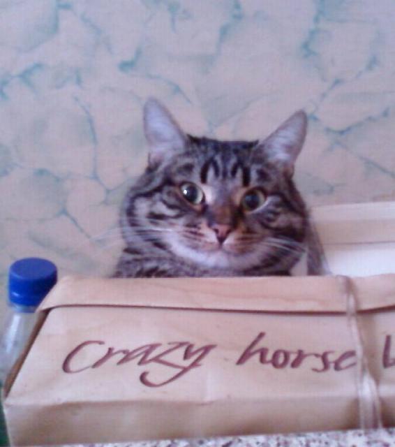 Crazy horse,чё ещё сказать :D