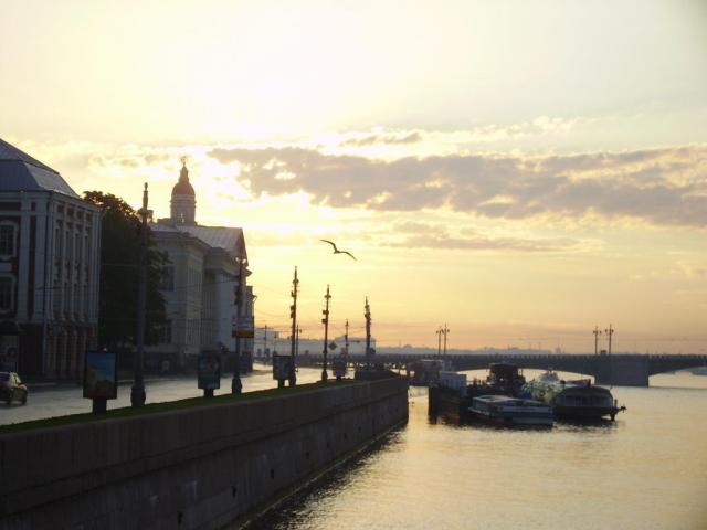 Gentoo White Nights. Утро Над Петербургом.