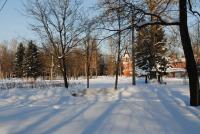 Колпино, середина января