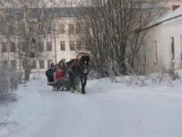 Белозерск. Лошадь, сани  :)