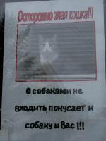 злая кошка