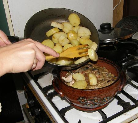 Жаркое из курицы с грибами - фоторецепт