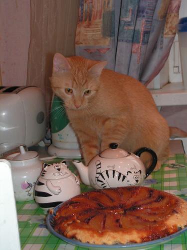 pict0004.jpg